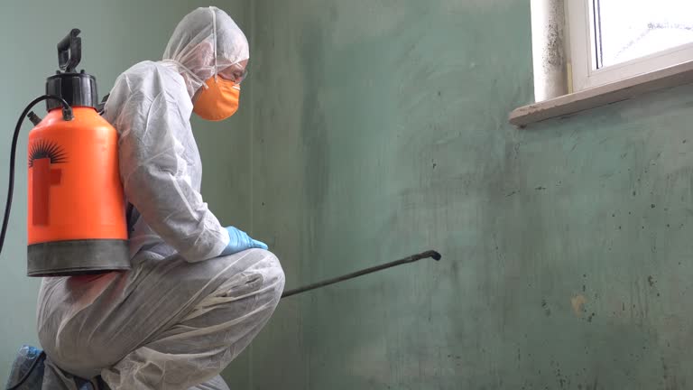 Best Forensic Mold Investigation  in Port Hueneme, CA